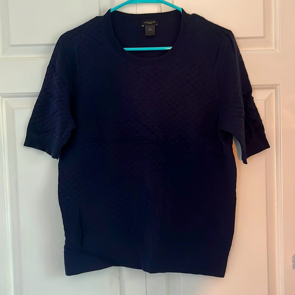 Ann Taylor Navy Short-Sleeved Sweater